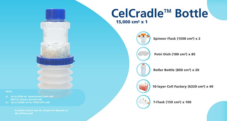 CelCradle Equivalence